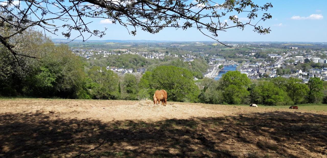 Bed & Breakfast D'ys Chateaulin